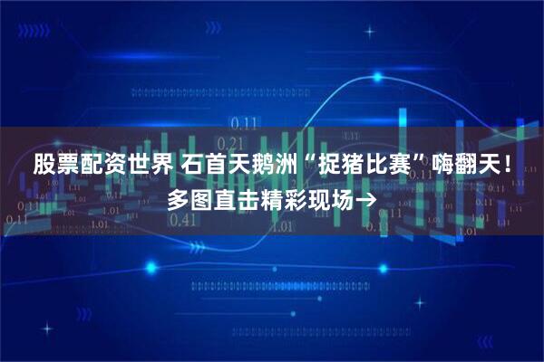 股票配资世界 石首天鹅洲“捉猪比赛”嗨翻天！多图直击精彩现场→